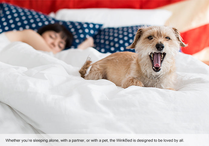 The WinkBed White Luxury Firm Mattress by WinkBeds®